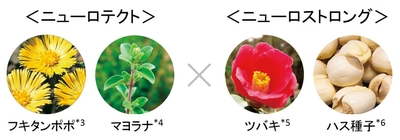2種類のオリジナル美容成分