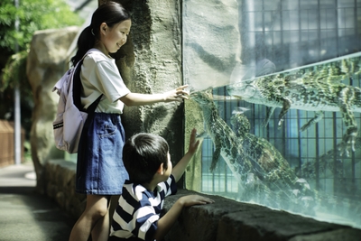 園内の様子 1