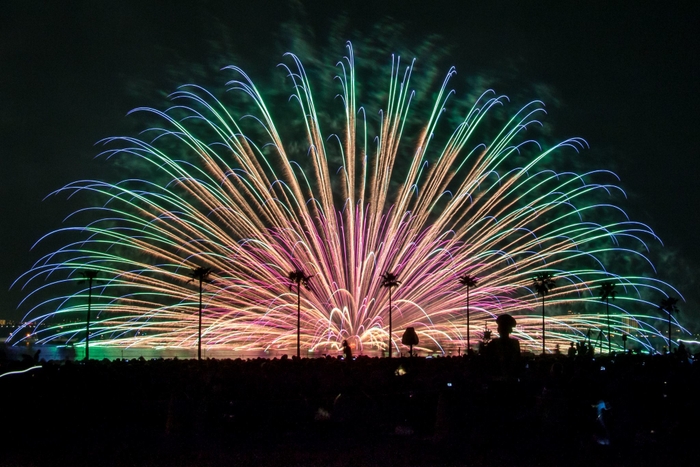 海の中道芸術花火2017 花火 3