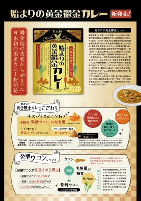 始まりの黄金鬱金カレー チラシ