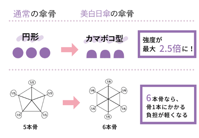 カマボコ型6本骨で丈夫