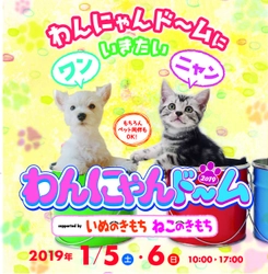 今年はお正月開催！ 愛犬とともにナゴヤドームに行こう！！ 東海地区最大級のペットイベント　 1月5日(土)・6日(日)にナゴヤドームで開催！