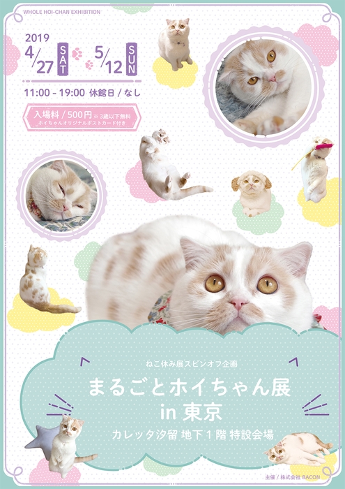 キービジュアル(縦)1