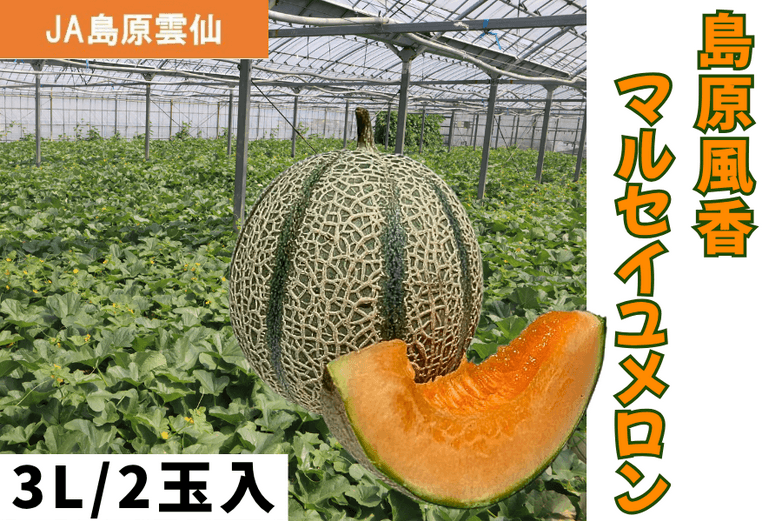 島原風香 マルセイユメロン（ＪＡ島原雲仙）