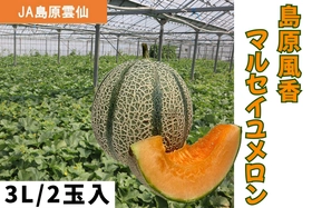 長崎県産の「島原風香 マルセイユメロン」がJAタウンのショップ「もぐもぐながさき」に初登場！赤肉の濃厚な甘みと美しいストライプ模様が際立つ自慢の大玉果実を期間限定販売