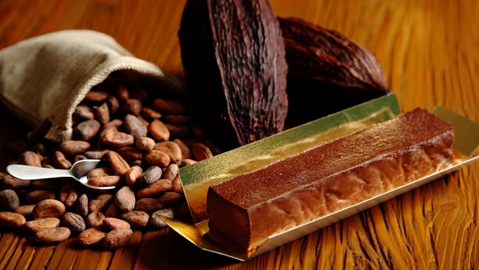 野生カカオ豆・徳島県産和三盆を使用したテリーヌ