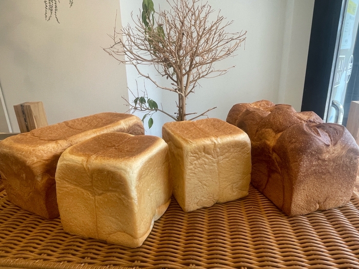 MAO、RIKA、TAISHI、生ホテル