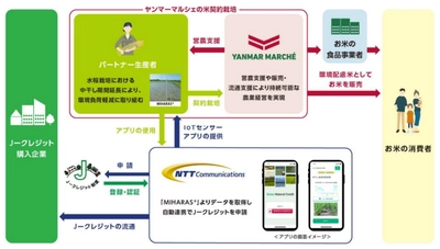 ヤンマーマルシェと NTT Com、「水稲栽培における中干し期間延長の 方法論」により J―クレジットを創出、NTT Com が販売を開始