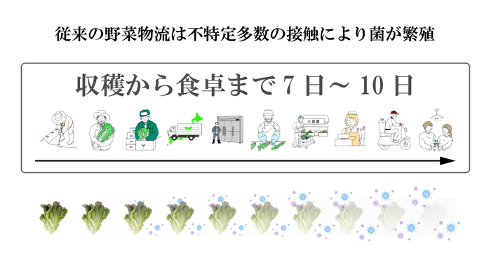 従来の野菜物流では不特定多数の接触により雑菌が繁殖