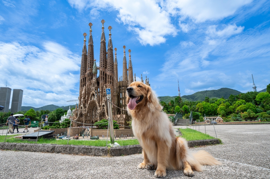 ヨーロッパゾーン