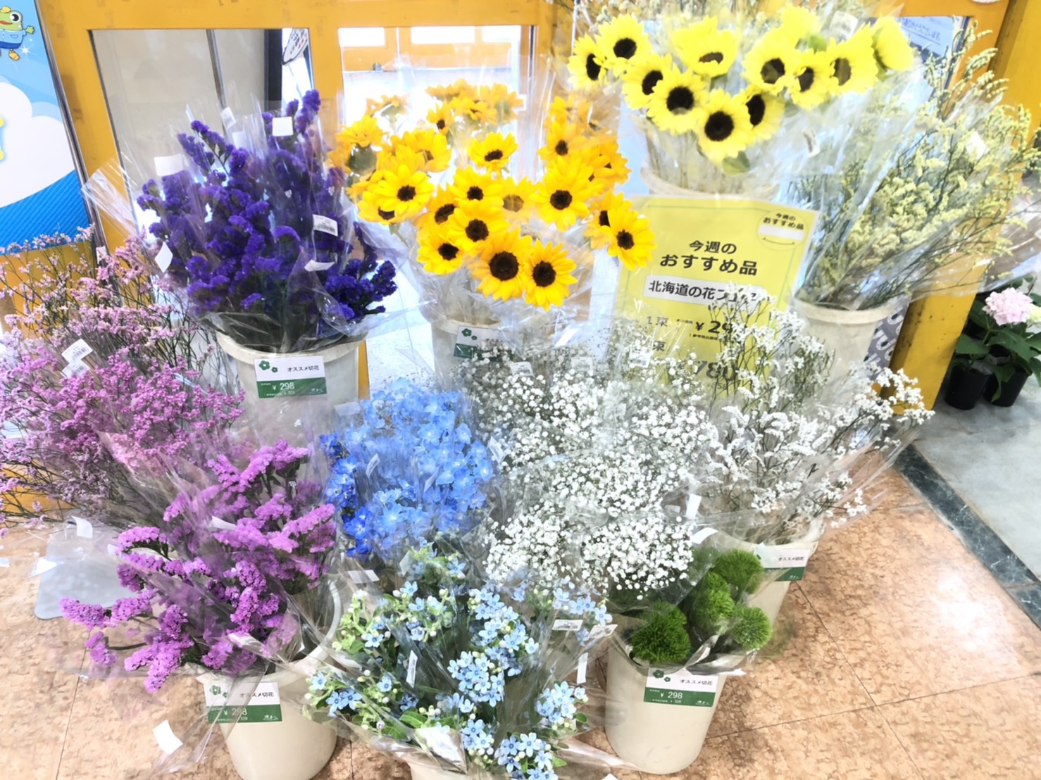 夏本番 北の大地より元気なお花たちを取り揃えて 夏の北海道のお花フェア を開催中 Newscast