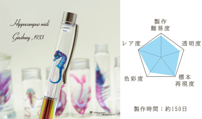 タツノオトシゴ