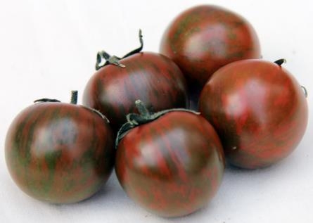 新品種トマト「AMAZON」