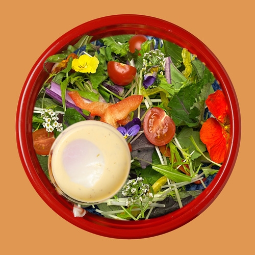 奈良発「地産地消」弁当イメージ_3