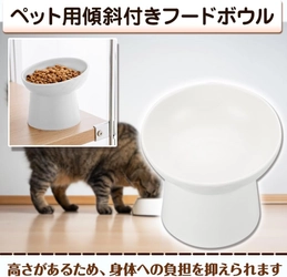 8月8日は世界猫の日！猫の健康と福祉に関する意識を高める特別な日に食べやすさを第一に考えられた「ペットフードボウル」をプレゼントして感謝の気持ちを伝えよう（Amazonにて好評販売中！）