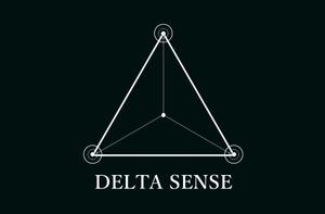株式会社WSense