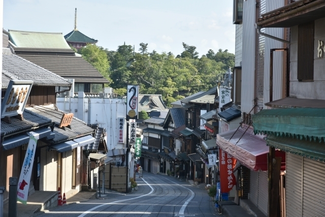 商店街と成田山新勝寺(奥)