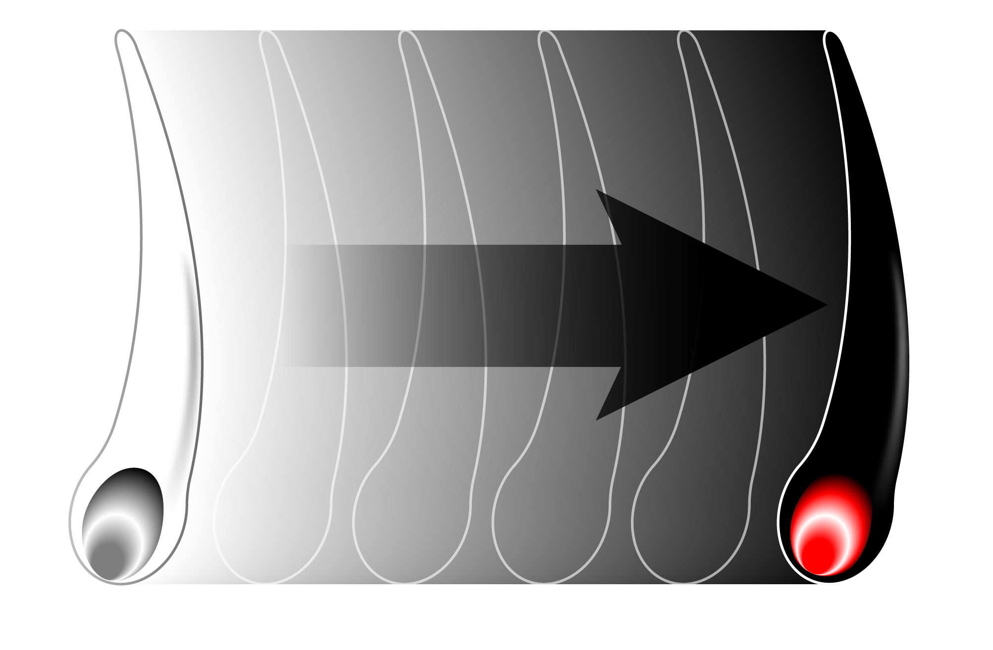 白髪は染めるだけじゃない⁉白髪を治すメカニズムを新たに解明