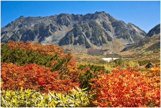 ナナカマドの赤色と山肌の紅葉の彩りが鮮やかな立山