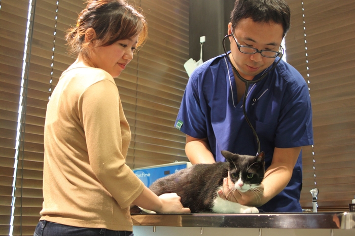 猫優先 待合室&診察室