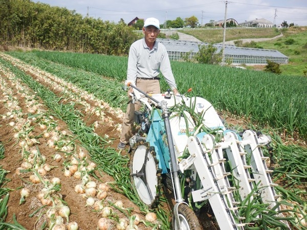 たまねぎ農家「今井ファーム」