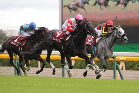 競馬はAIが予想する時代へシフトチェンジしている！