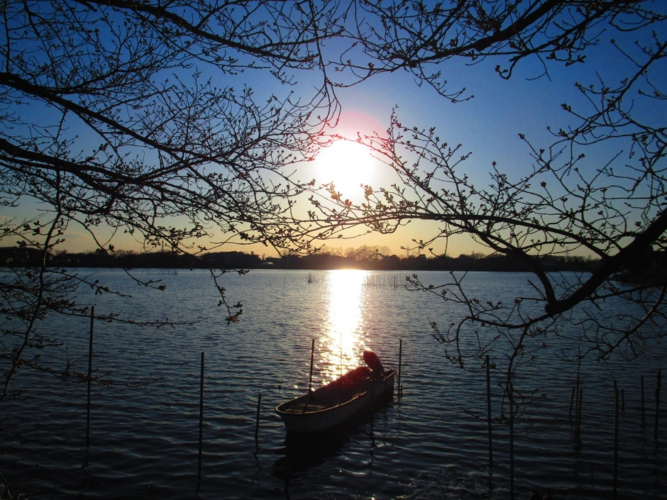 砂沼(茨城県下妻市)