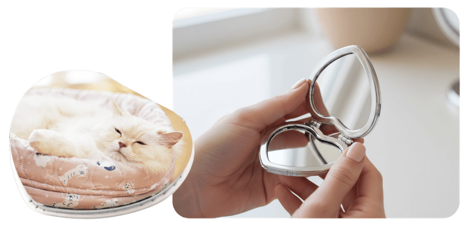 ハート型ミラーコース