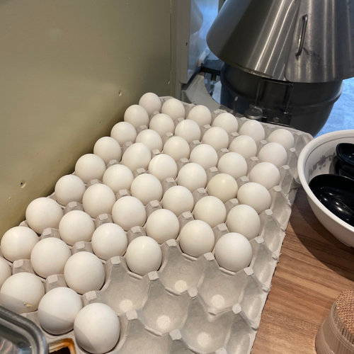 生卵は1個無料です　