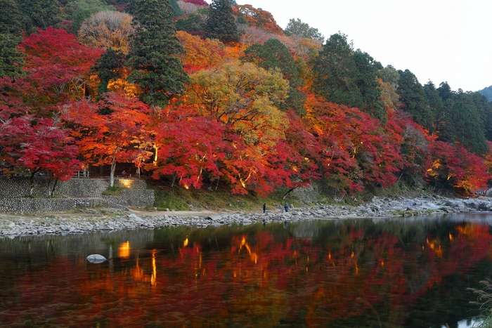 足助　香嵐渓