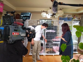 NPO法人あんじゅりあん、鹿児島市の殺処分ゼロ継続を 目指してクラウドファンディングを開始