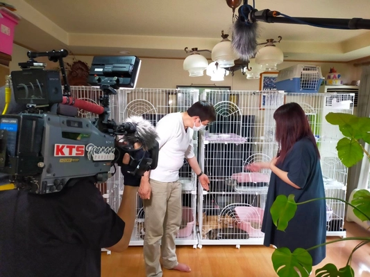 NPO法人あんじゅりあん、鹿児島市の殺処分ゼロ継続を 目指してクラウドファンディングを開始