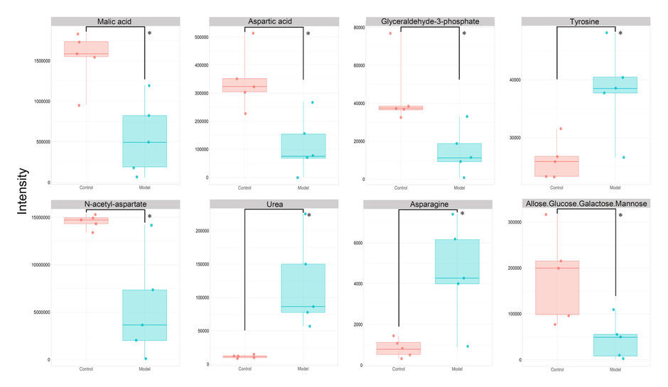 図1　大脳で有意差を示した8種類の代謝物の箱ひげ図 赤色はコントロール群、青色は炎症モデルマウス群を示す。代謝物は上段左から、Malic acid（リンゴ酸）、Aspartic acid（アスパラギン酸）、Glyceraldehyde-3-phosphate（グリセルアルデヒド-3-リン酸）、Tyrosine（チロシン）、下段左から、N-acetylaspartate（N-アセチルアスパラギン酸）、Urea（尿素）、Asparagine（アスパラギン）、Allose/Glucose/Galactose/Mannose（アロース／グルコース／ガラクトース／マンノース）を示す。