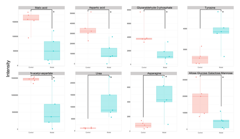 図1　大脳で有意差を示した8種類の代謝物の箱ひげ図 赤色はコントロール群、青色は炎症モデルマウス群を示す。代謝物は上段左から、Malic acid（リンゴ酸）、Aspartic acid（アスパラギン酸）、Glyceraldehyde-3-phosphate（グリセルアルデヒド-3-リン酸）、Tyrosine（チロシン）、下段左から、N-acetylaspartate（N-アセチルアスパラギン酸）、Urea（尿素）、Asparagine（アスパラギン）、Allose/Glucose/Galactose/Mannose（アロース／グルコース／ガラクトース／マンノース）を示す。