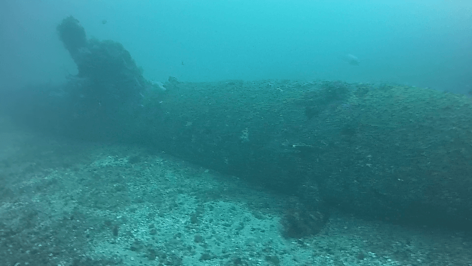 海底に眠る海龍