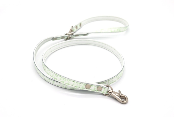 leash