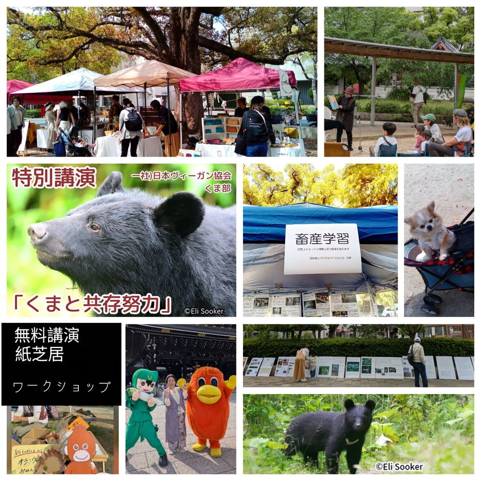 無料講演やキッズ紙芝居も