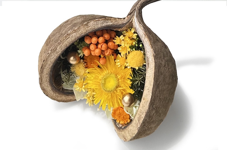 お祝い電報『幸せを呼ぶ幸福の実 ブッタナッツY』