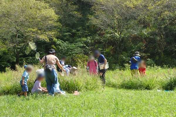 草むらのなかにもいるかな？