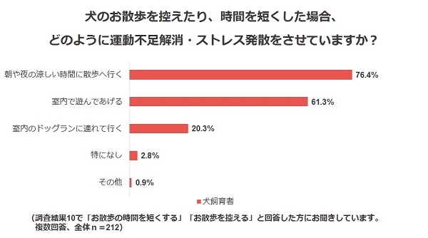 調査結果11.犬のお散歩を控えたり、時間を短くした場合、どのように運動不足解消・ストレス発散をさせていますか?