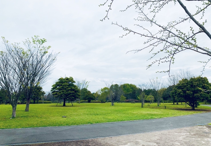 外出レクリエーションの目的地の一つの近隣公園