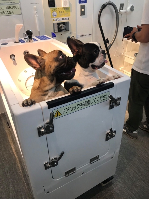 多頭飼いの温浴に!!