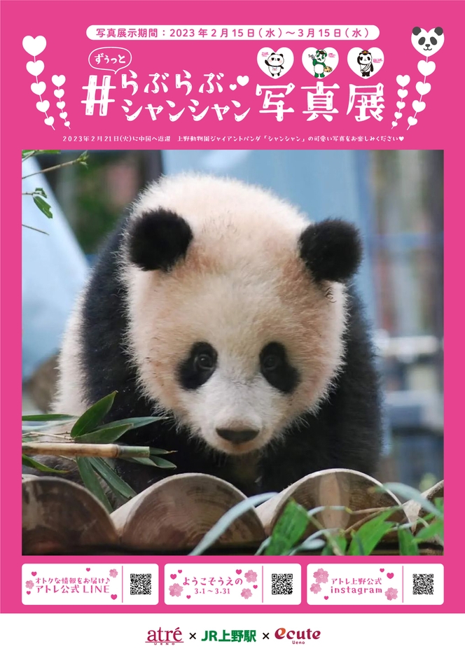 ずぅっと#らぶらぶシャンシャン写真展