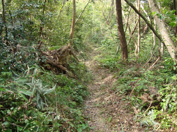 ケンケン山道