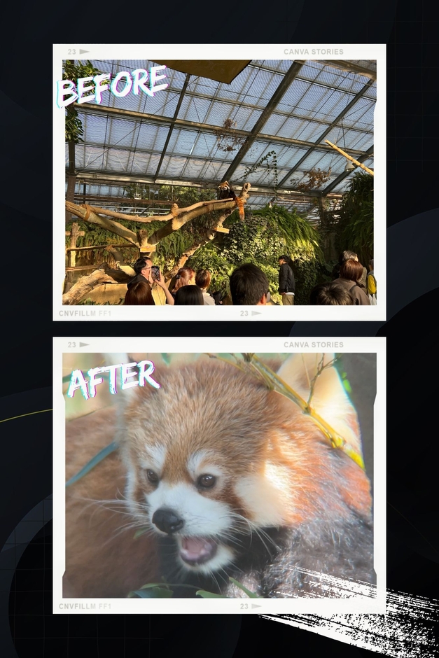 ビフォーアフター　5