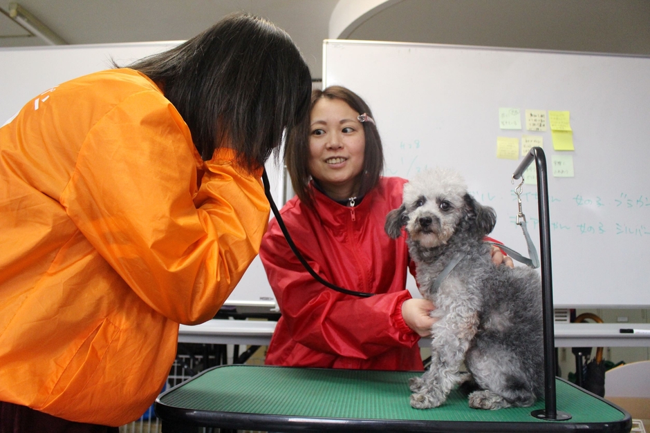 不登校の子に命の大切さを