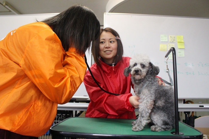 不登校の子に命の大切さを