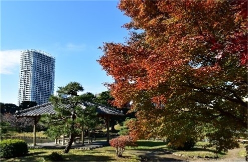 旧芝離宮恩賜庭園