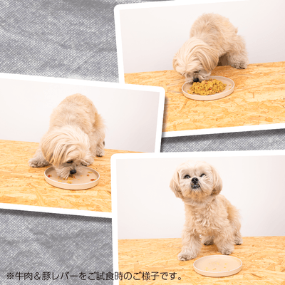 コミフPETS総合栄養食 ご試食イメージ