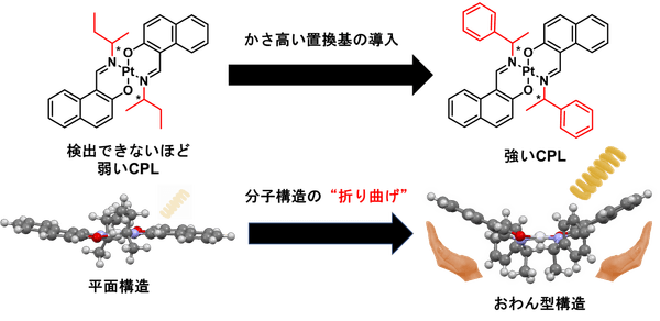 図1.本研究で開発した白金錯体の代表的な分子構造。かさ高い環状置換基の導入によって分子の折れ曲がりが引き起こされ、強いCPLを示す。